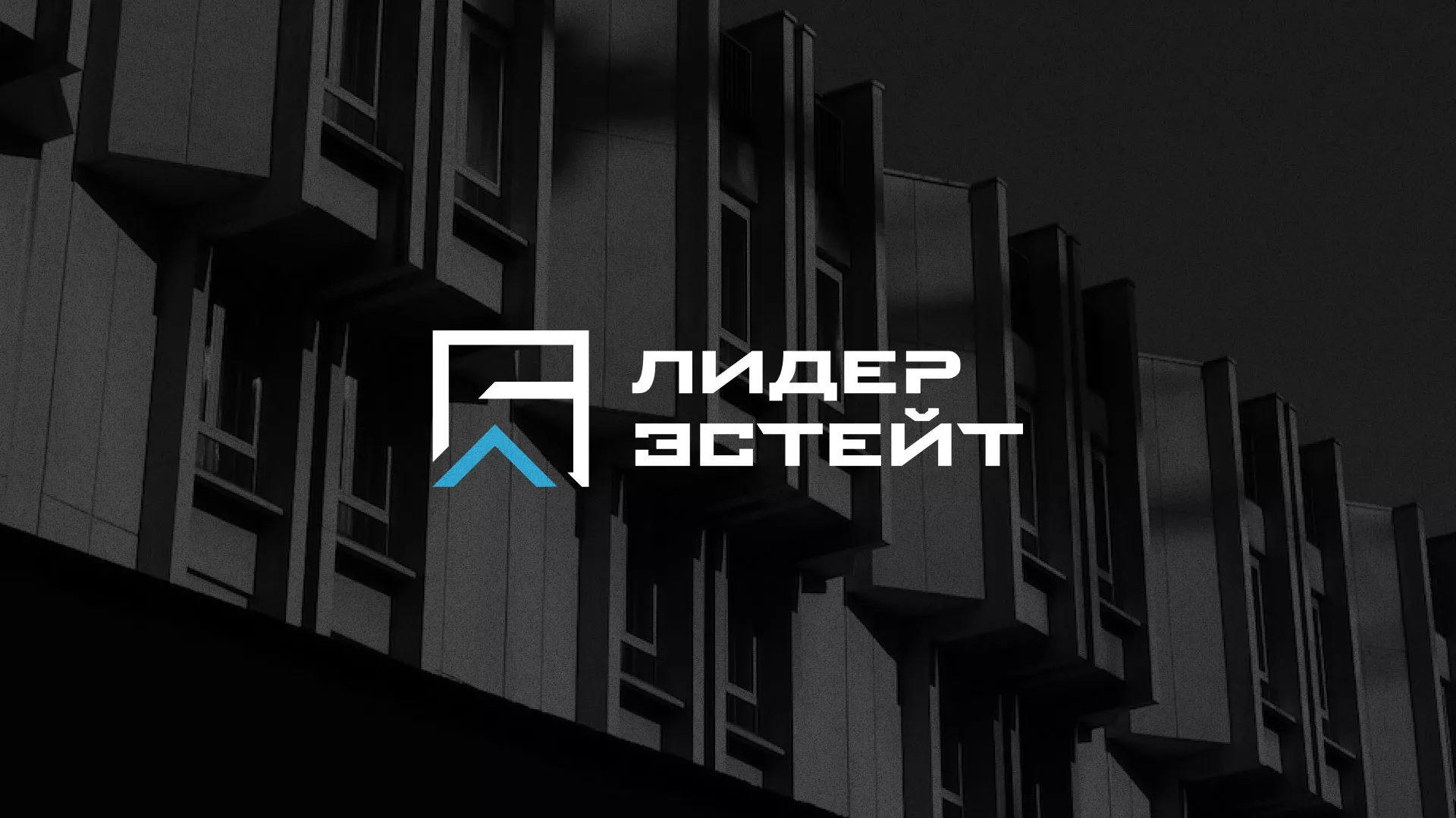 Разработка логотипа агентства недвижимости «Лидер Эстейт» в Соль-Илецке